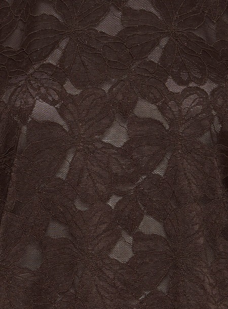 bruin detail 