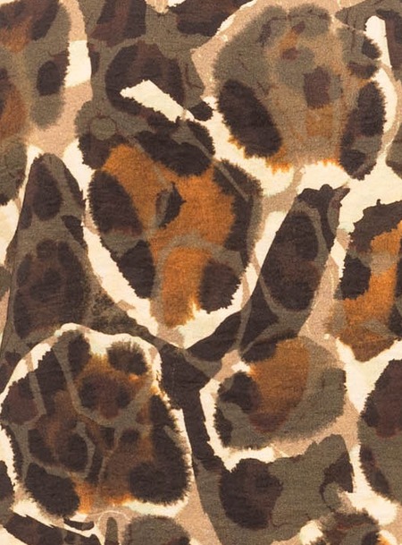 camel detail 