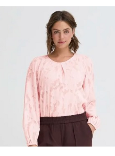 roze j
